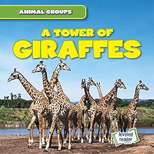 Bild des Verkufers fr A Tower of Giraffes (Animal Groups) zum Verkauf von WeBuyBooks