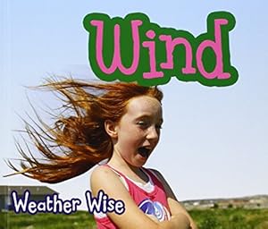 Bild des Verkufers fr Wind (Weather Wise) zum Verkauf von WeBuyBooks