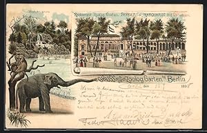 Lithographie Berlin, Besucher, Affen, Flamingos und ein Elefant im Zoologischen Garten