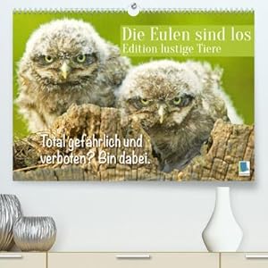 Bild des Verkufers fr Die Eulen sind los: Edition lustige Tiere (Premium, hochwertiger DIN A2 Wandkalender 2023, Kunstdruck in Hochglanz): Spa mit Eule, Uhu und Kauz und . (Monatskalender, 14 Seiten ) (CALVENDO Spass) zum Verkauf von Rheinberg-Buch Andreas Meier eK