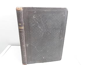 Seller image for Nya Testamemet - Swedish Bible for sale by David R. Smith - Bookseller