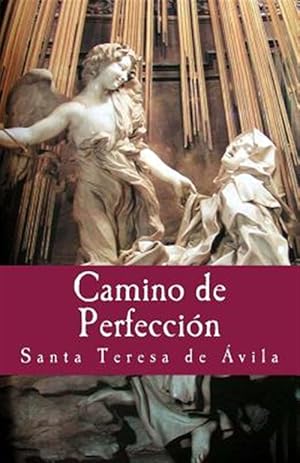 Imagen del vendedor de Camino de perfeccin / Path of perfection -Language: spanish a la venta por GreatBookPrices