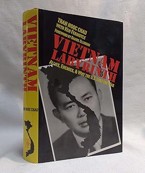 Vietnam Labyrinth: Allies, Enemies, and Why the U.S. Lost the War (Modern Southeast Asia)