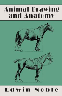 Seller image for Animal Drawing and Anatomy (Paperback or Softback) for sale by BargainBookStores