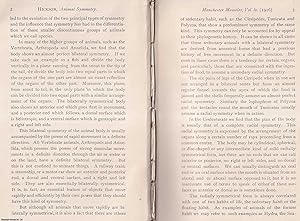 Imagen del vendedor de Animal Symmetry and the Differentiation of Species. This is an original article from the Memoirs of the Literary and Philosophical Society of Manchester, 1916. a la venta por Cosmo Books
