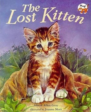 Seller image for The Lost Kitten! for sale by WeBuyBooks