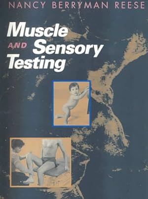 Bild des Verkufers fr Muscle and Sensory Testing zum Verkauf von WeBuyBooks