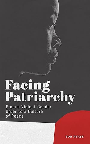 Seller image for Confronting Patriarchy: From a Violent Gender Order to a Culture of Peace for sale by moluna