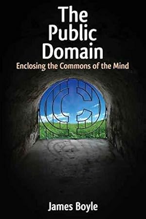 Image du vendeur pour The Public Domain    Enclosing the Commons of the Mind mis en vente par WeBuyBooks