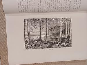 Image du vendeur pour Voyage Aux Pyrenes. Troisime dition illustre par Gustave Dor. mis en vente par LIBRERIA XODO