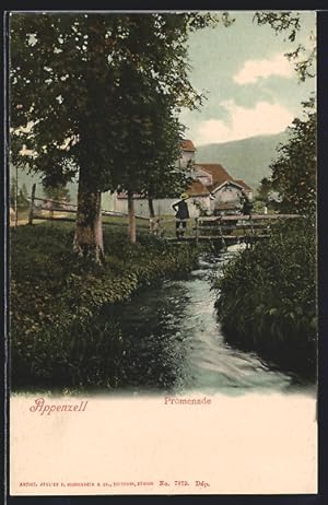 Ansichtskarte Appenzell, Partie an der Promenade mit Bach