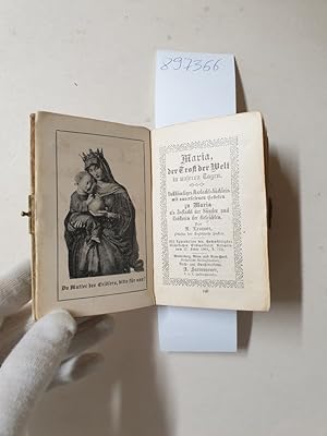 Bild des Verkufers fr Maria der Trost der Welt in unseren Tagen. Vollstndiges Andachtsbchlein mit auserlesenen Gebeten zu Maria als Zuflucht der Snder und Trsterin der Betrbten: zum Verkauf von Versand-Antiquariat Konrad von Agris e.K.