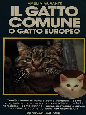 Bild des Verkufers fr Il gatto comune o gatto europeo zum Verkauf von Librodifaccia