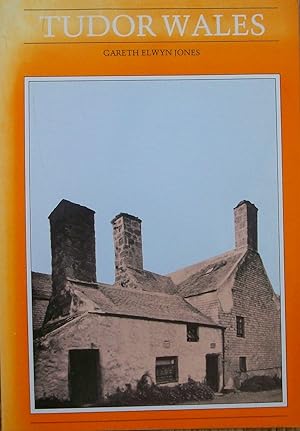Seller image for Tudor Wales for sale by Books and Bobs
