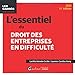 Seller image for L'essentiel du droit des entreprises en difficulté (2024) [FRENCH LANGUAGE - Soft Cover ] for sale by booksXpress