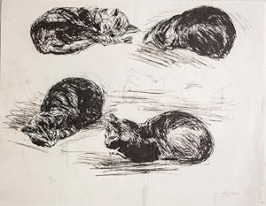 Immagine del venditore per Senza titolo venduto da Studio Bibliografico Marini