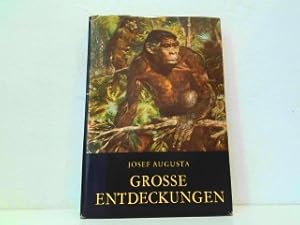 Seller image for Groe Entdeckungen. for sale by Antiquariat Kirchheim