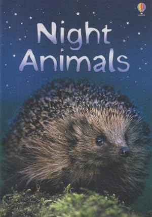 Bild des Verkufers fr Night Animals (Usborne Beginners) zum Verkauf von WeBuyBooks 2