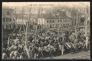 Carte postale Dax, Marché aux boeufs