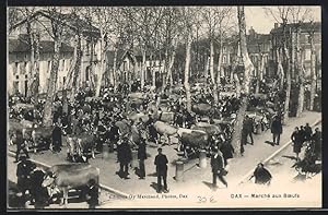 Carte postale Dax, Marché aux Boeufs