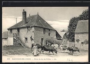 Carte postale Bagnoles-de-L`Orne, Ferme du Lys des Vallees, Bauernhof avec vachesn