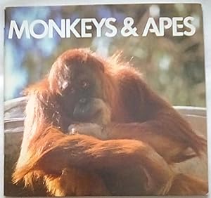 Imagen del vendedor de Monkeys & Apes: An Animal Information Book a la venta por P Peterson Bookseller