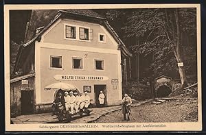 Ansichtskarte Dürnberg-Hallein, Salzbergwerk, Fotograf am Wolfdietrich-Berghaus, Motiv für Ansich...