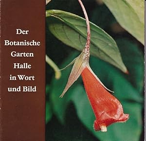 Bild des Verkufers fr Der Botanische Garten Halle in Wort und Bild zum Verkauf von Clivia Mueller
