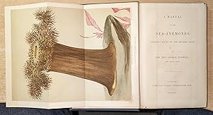 Image du vendeur pour A Manual of the Sea-Anemones Commonly Found on the English Coast. mis en vente par CHILTON BOOKS