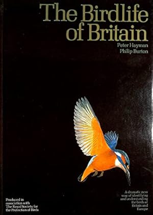 Seller image for Bird Life of Britain for sale by WeBuyBooks