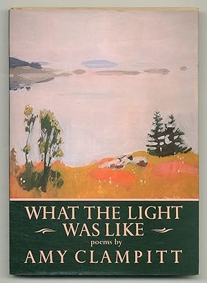 Bild des Verkufers fr What the Light Was Like zum Verkauf von Between the Covers-Rare Books, Inc. ABAA
