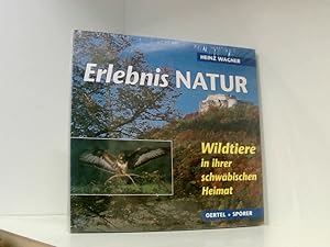Bild des Verkufers fr Erlebnis Natur. Wildtiere in ihrer schwbischen Heimat Wildtiere in ihrer schwbischen Heimat zum Verkauf von Book Broker