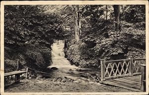 Ansichtskarte / Postkarte Oliva Danzig, Partie am Wasserfall, Wodospad, Holzbrücke