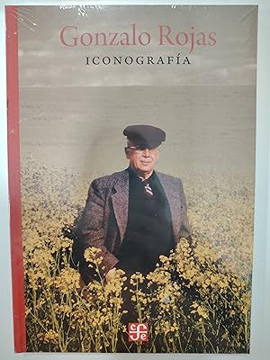 Imagen del vendedor de Iconografa a la venta por Libros nicos