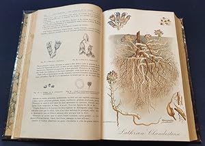 Revue de viticulture - organe de l'agriculture des régions viticoles Publié sous la direction de ...