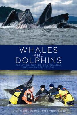 Seller image for Whales and Dolphins: Cognition, Culture, Conservation and Human Perceptions (Paperback or Softback) for sale by BargainBookStores