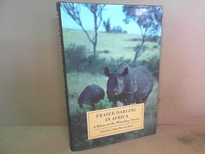 Fraser Darling in Africa. - A Rhino in the Whistling Thorn.