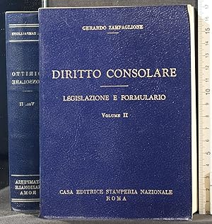 Imagen del vendedor de Diritto consolare. Vol 2 a la venta por Cartarum