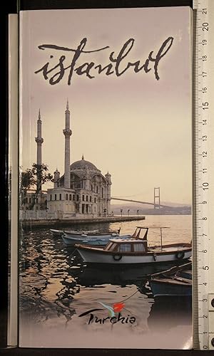 Bild des Verkufers fr Istanbul zum Verkauf von Cartarum