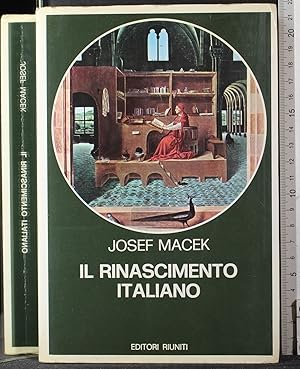 Seller image for Il Rinascimento Italiano for sale by Cartarum