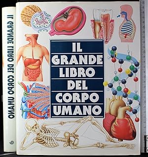 Immagine del venditore per Il grande libro del corpo umano venduto da Cartarum