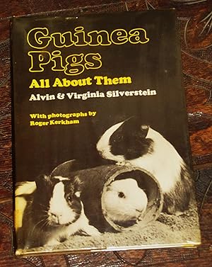 Guinea Pigs - All About Them