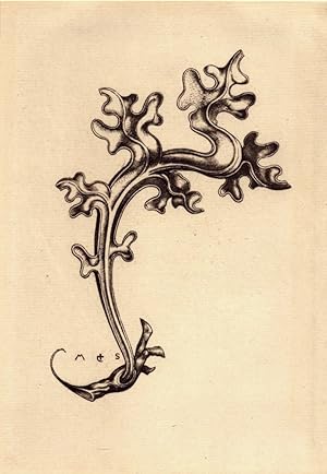 Bild des Verkufers fr Viertes Krabbenornament | Leaf Ornament | Rinceau d' Ornements. Heliogravre von Charles Amand-Durand nach einem Kupferstich von Martin Schongauer (um 1480). zum Verkauf von Antiquariat Reinhold Pabel