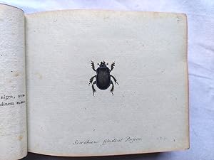 Bild des Verkufers fr Faunae insectorum Germanicae initia oder Deutschlands Insecten. zum Verkauf von Antiquariat H. Carlsen