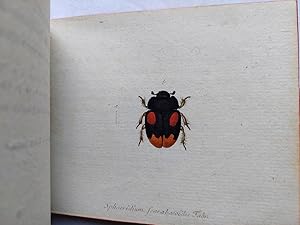 Bild des Verkufers fr Faunae insectorum Germanicae initia oder Deutschlands Insecten. zum Verkauf von Antiquariat H. Carlsen