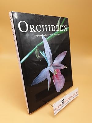 Orchideen