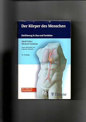 Bild des Verkufers fr Adolf Faller, Michael Schnke, Der Krper des Menschen / 15. Auflage zum Verkauf von sonntago DE