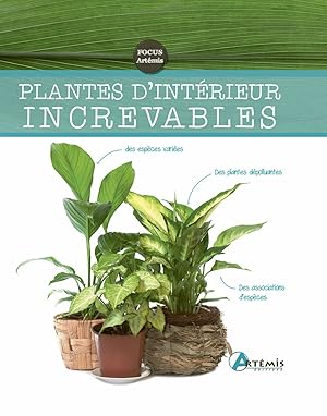 Image du vendeur pour Plantes d'intrieur increvables mis en vente par Dmons et Merveilles