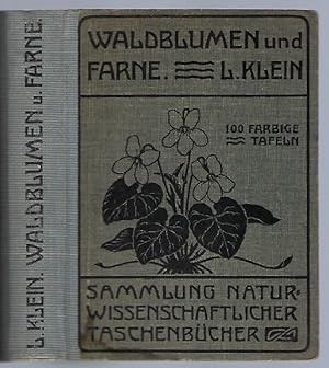 Unsere Waldblumen und Farngewächse. Mit 100 farbigen Tafeln (= Sammlung naturwissenschaftlicher T...