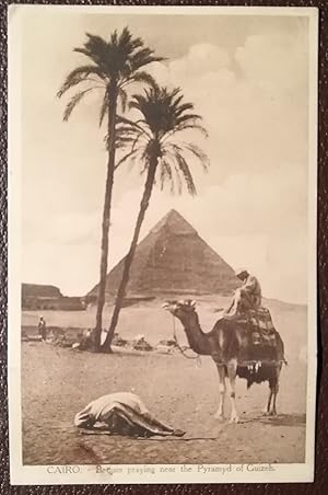 Cairo ( Kairo ). 1 alte Orig.- Ansichtspostkarte